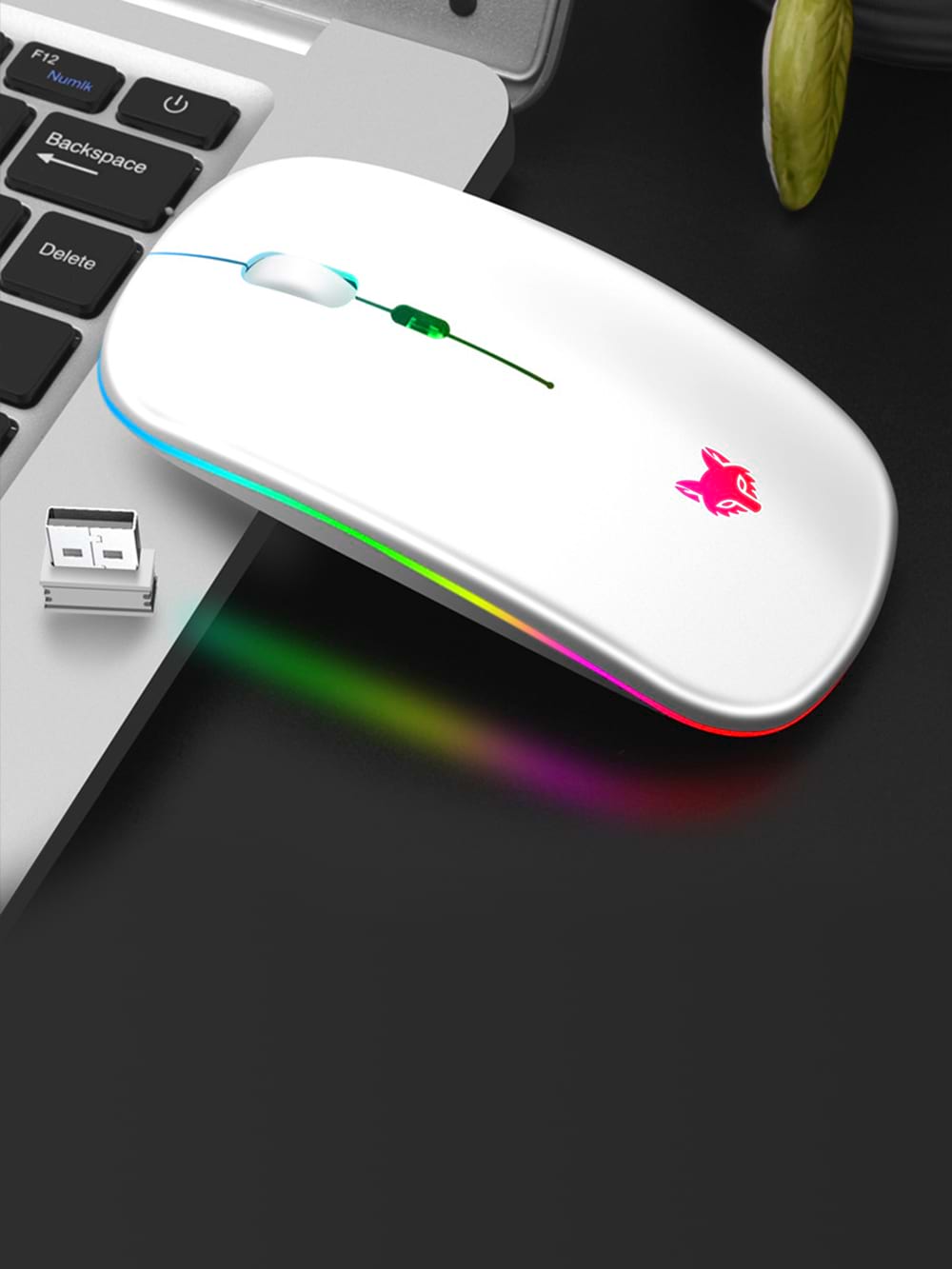 Souris de jeu