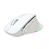Souris sans fil 2.4g, double mode, filaire, avec lumière cheval, chargement, souris de jeu